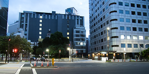 集装箱液袋阀门, 集装箱液袋阀门,